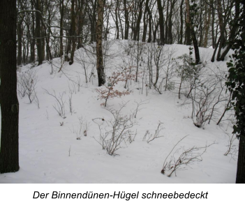 Der Binnendnen-Hgel schneebedeckt