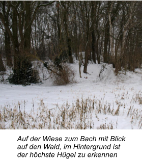 Auf der Wiese zum Bach mit Blick auf den Wald, im Hintergrund ist der hchste Hgel zu erkennen